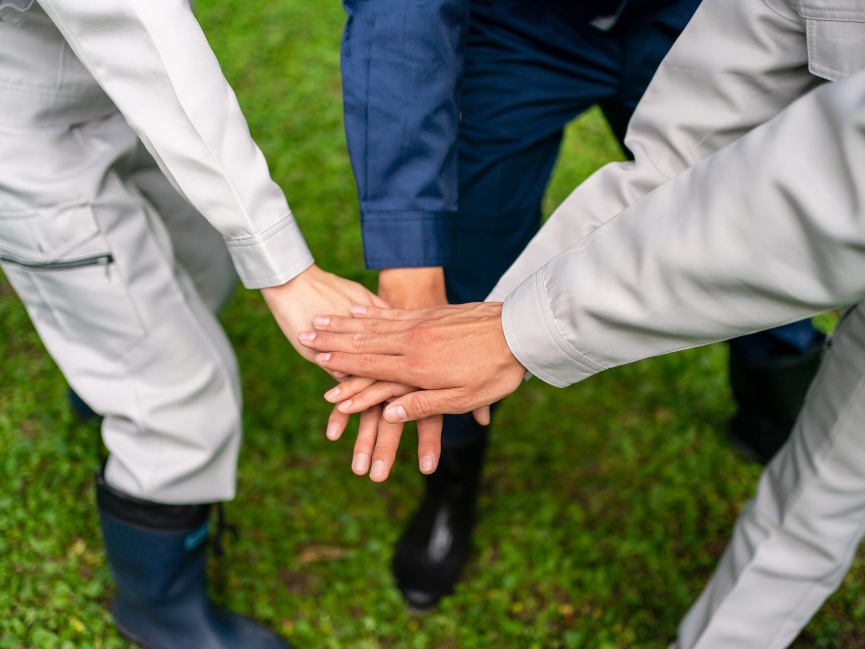 pixta_86659230_M (1)